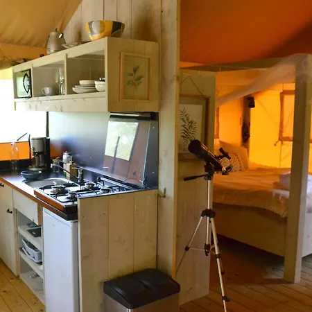 Modern Nomads *